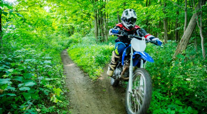 Man riding on his pit bike with with trees and grass on his side